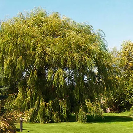 Sunroom F18 Comfortable Vacation * Sankt Peter-Ording