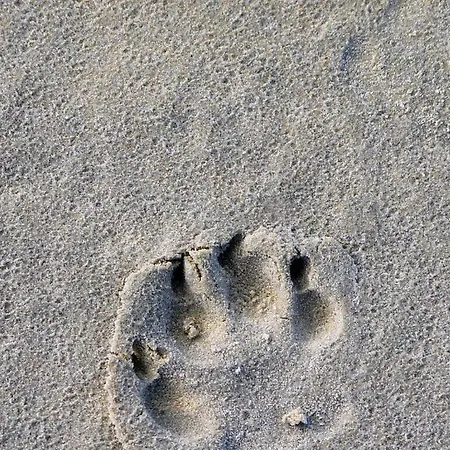 Sunroom F18 Comfortable Vacation Dom wakacyjny Sankt Peter-Ording